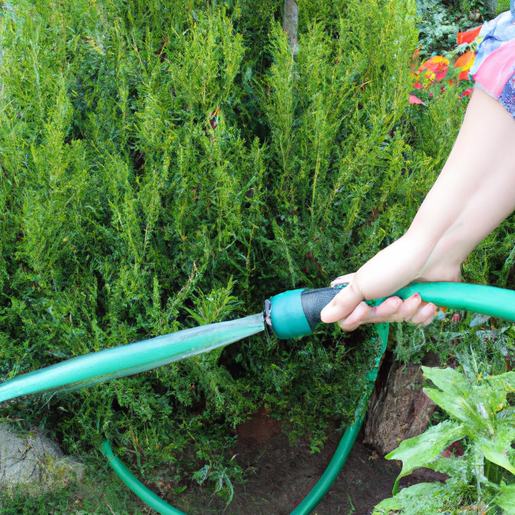 Woman watering plants with soaker hose