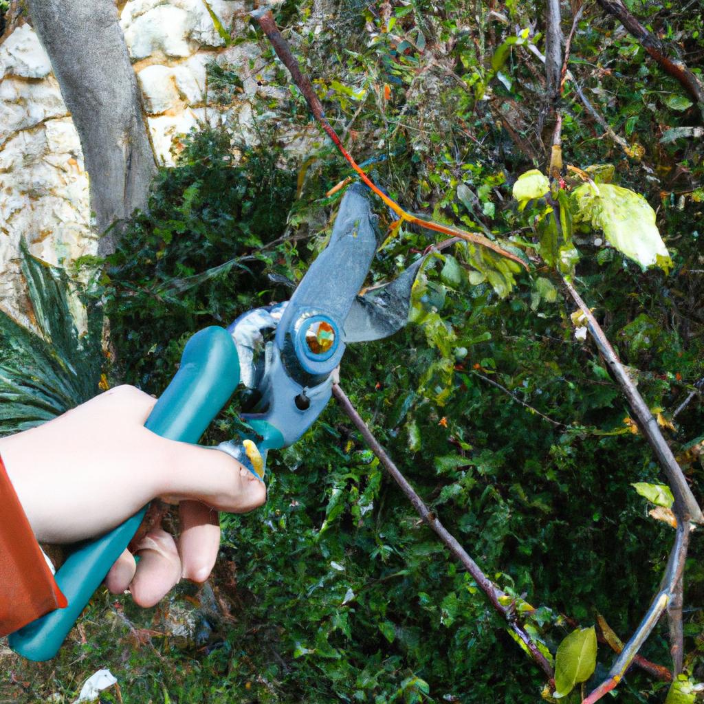 Person pruning plants with tools